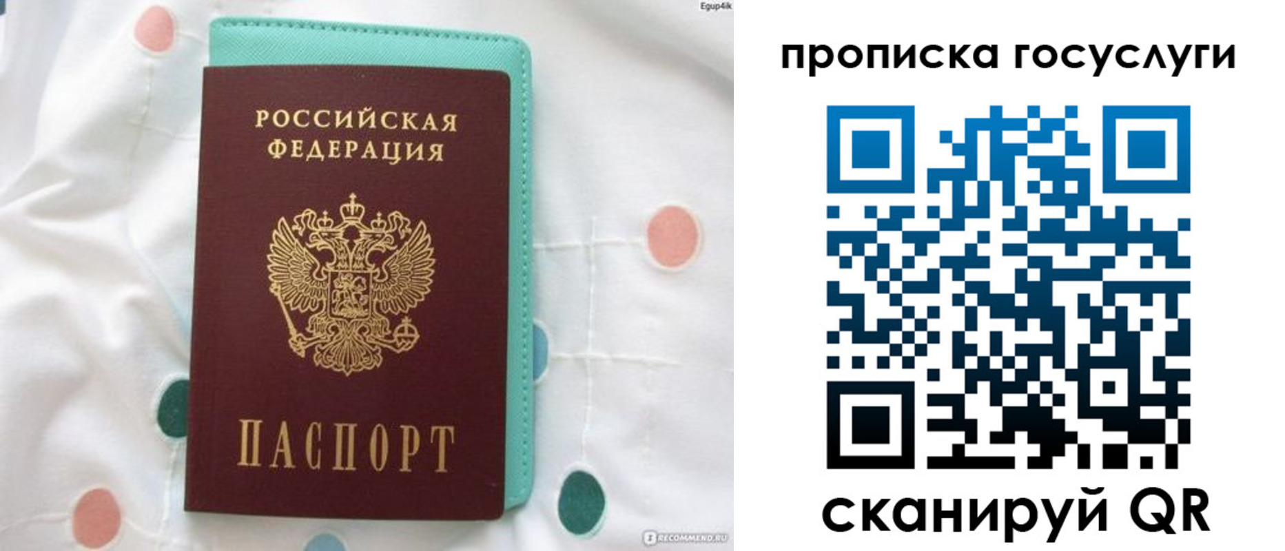прописка поиск в Керчи
